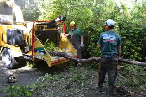 tree services Boulder Creek